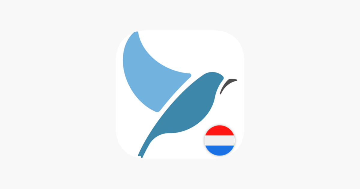 تطبيق BLUEBIRD تعلم اللغة الهولندية